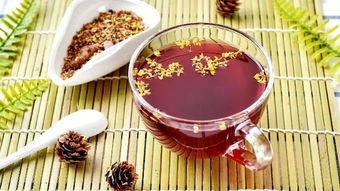 養生相伴，共品二十四節氣之美